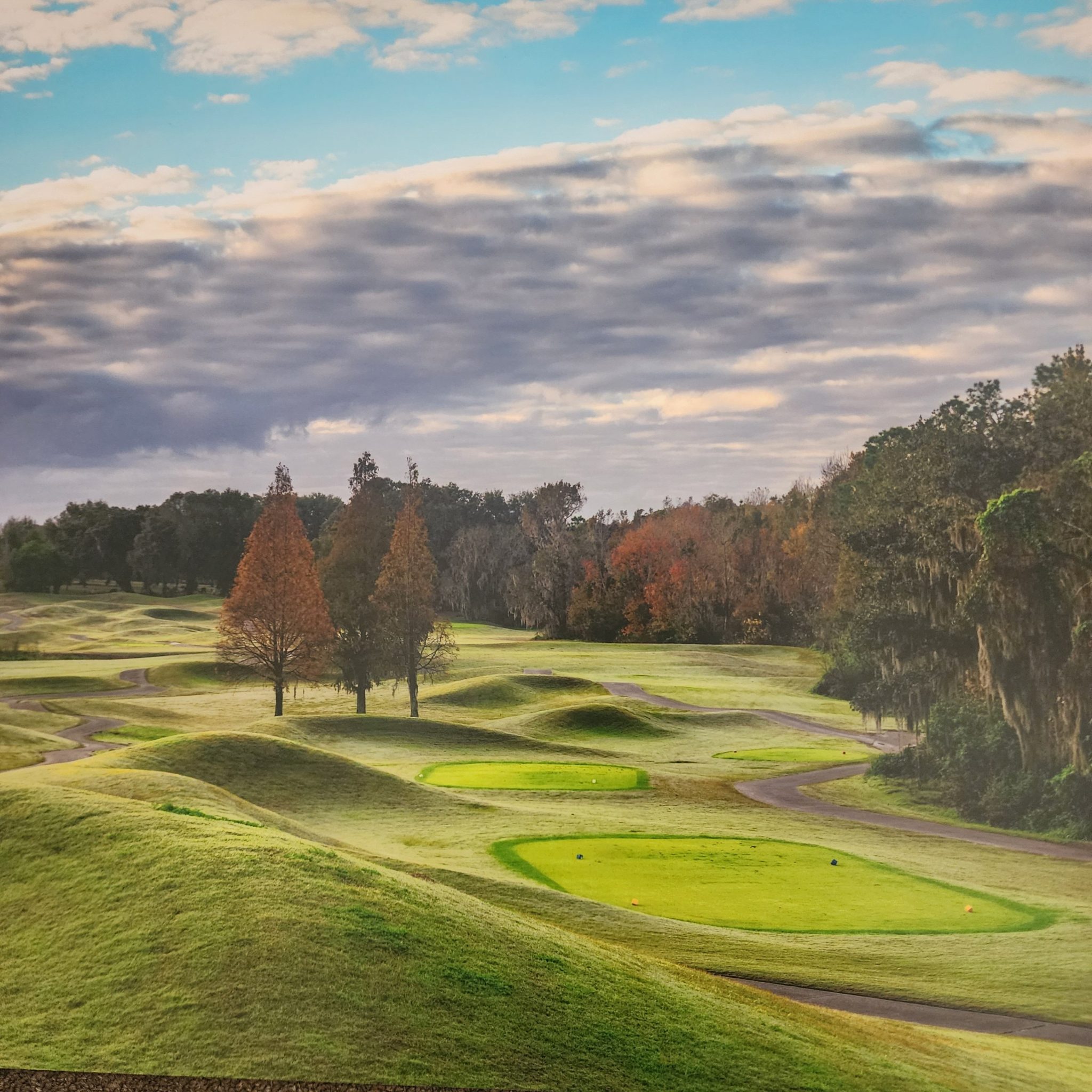 Golf course with trees and sky