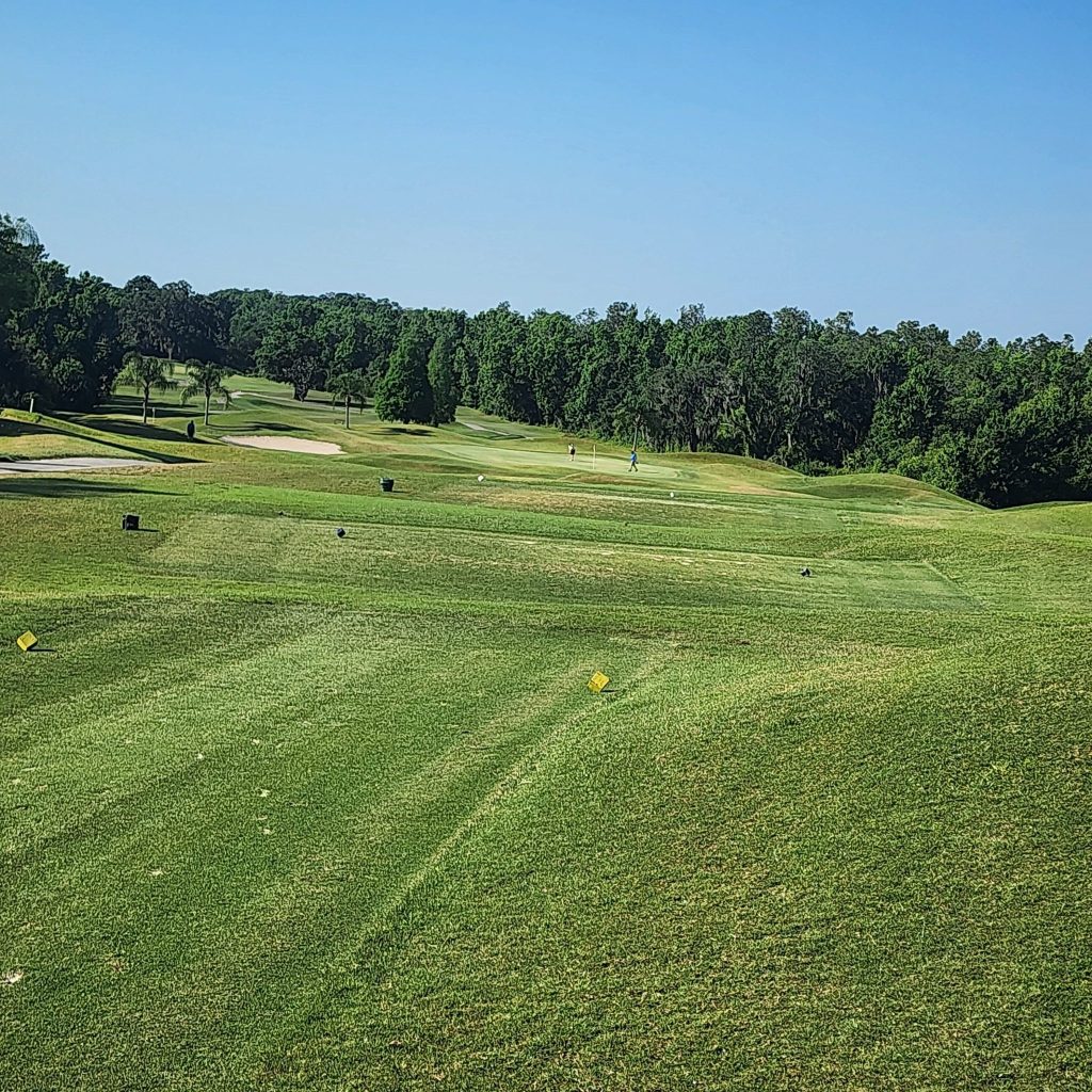 Golf course green with trees in distance